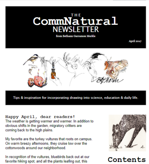 Newsletter.png